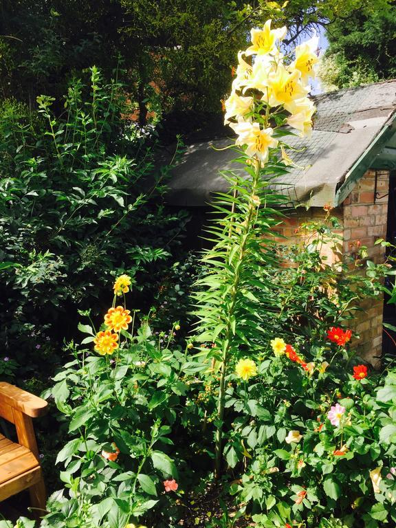 Fairlight Lodge King's Lynn Esterno foto